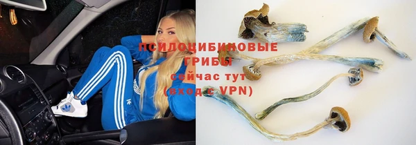 каннабис Бородино