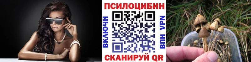 Псилоцибиновые грибы GOLDEN TEACHER Купить закладки Анадырь